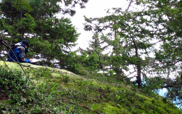 an outward bound student rests among trees and moss while journaling 